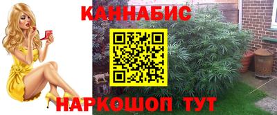мяу мяу мука Жуковский