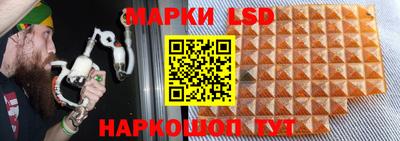 мяу мяу мука Жуковский