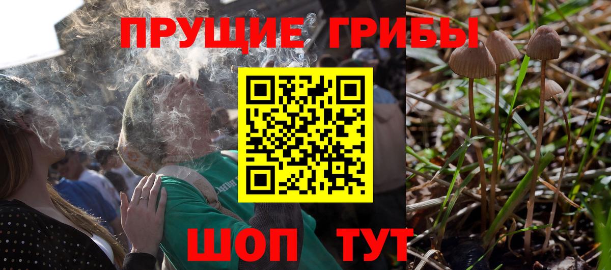 Псилоцибиновые грибы GOLDEN TEACHER  Вход с VPN  Галлюциногенные грибы мицелий  Азов 